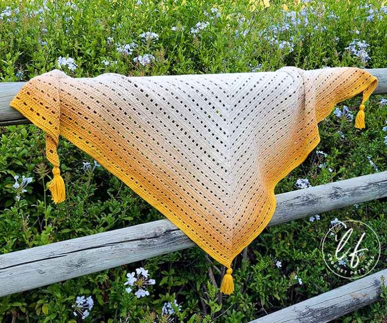 Easy Crochet Shawl Pattern – Perfect for Customizing!
