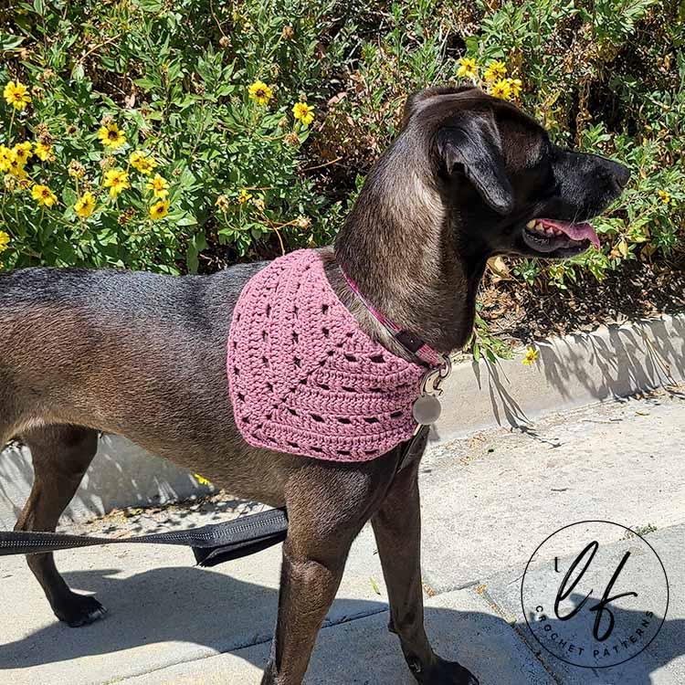 This image shows a medium sized black dog wearing the crochet dog bandana. The picture is taken from the side, so you can see the full bandana. Yellow flowers are in the background.