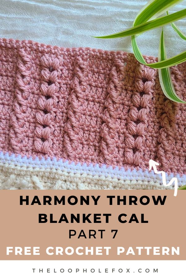 This image is a pinterest pin for this crochet along blanket pattern.