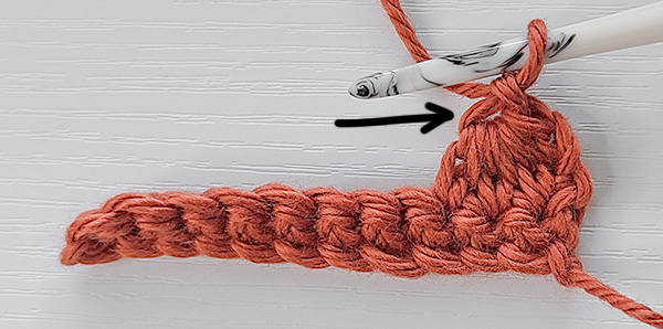This image shows 1 Extended Half Double Crochet 3 Together created with a chain 1 made after the stitch. An arrow points to the chain 1. This is the "Chain 1 Eye". In the next row, this is where we will place our stitches.