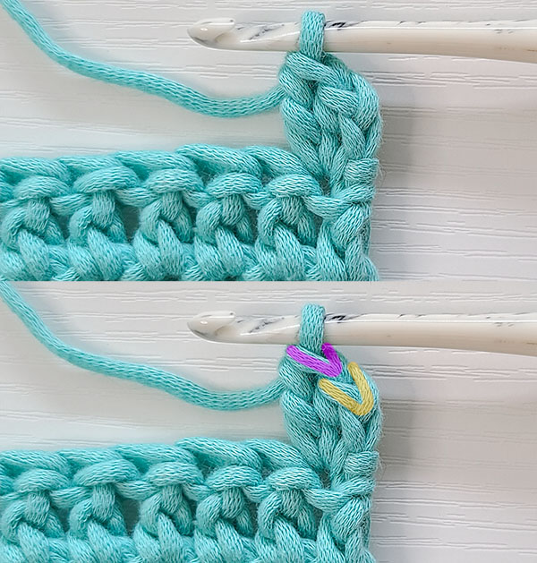 This image shows an increased Standing Single Crochet with 2 stitches worked into 1 stitch.