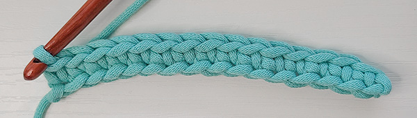 This image shows a row completed when using the crochet in back bumps technique.