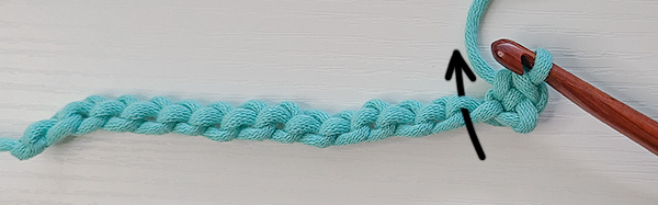 This image shows one single crochet completed and has an arrow going through the next bump, indicating that we will insert our hook into this bump to crochet in the back bump.